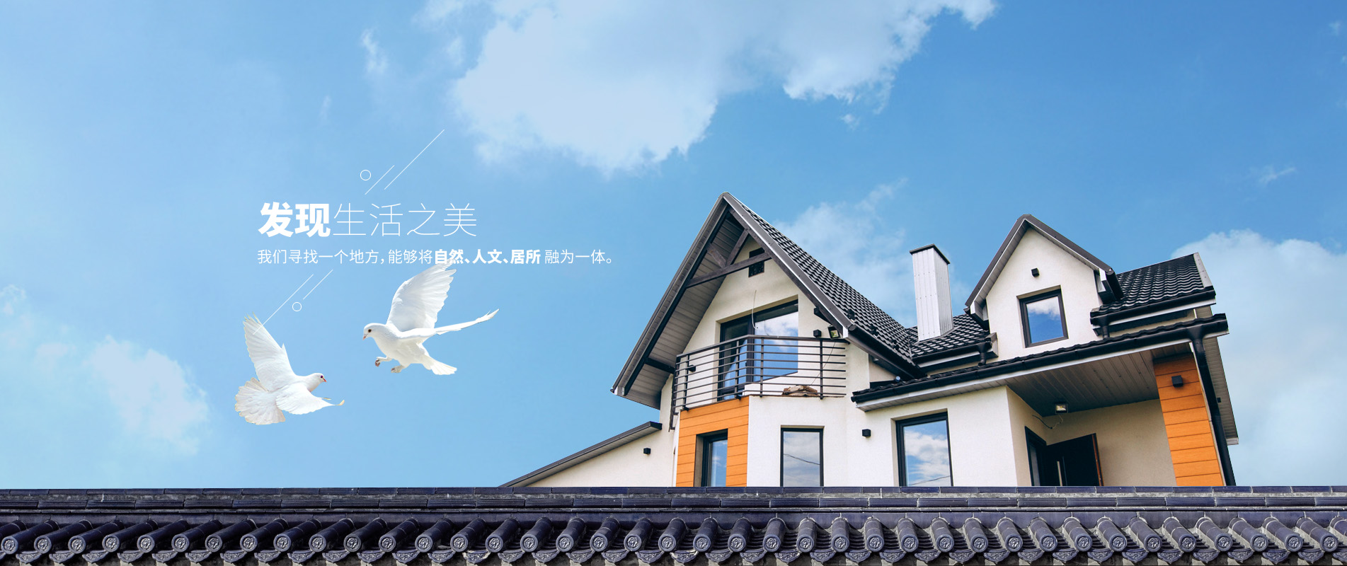 福建省泉州舒菲娅陶瓷科技有限公司